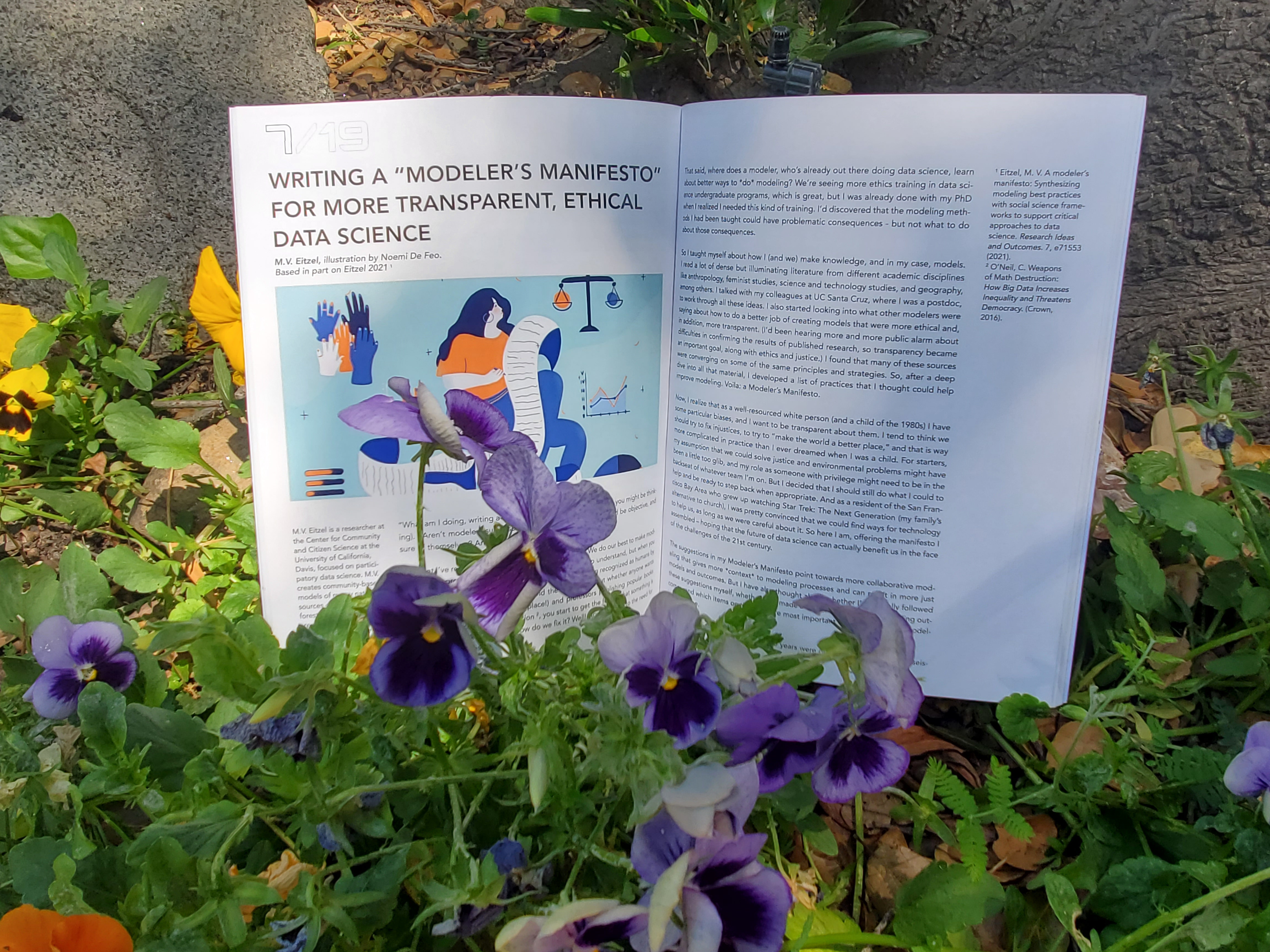 Photograph of an open book with illustration and text in a garden with purple flowers