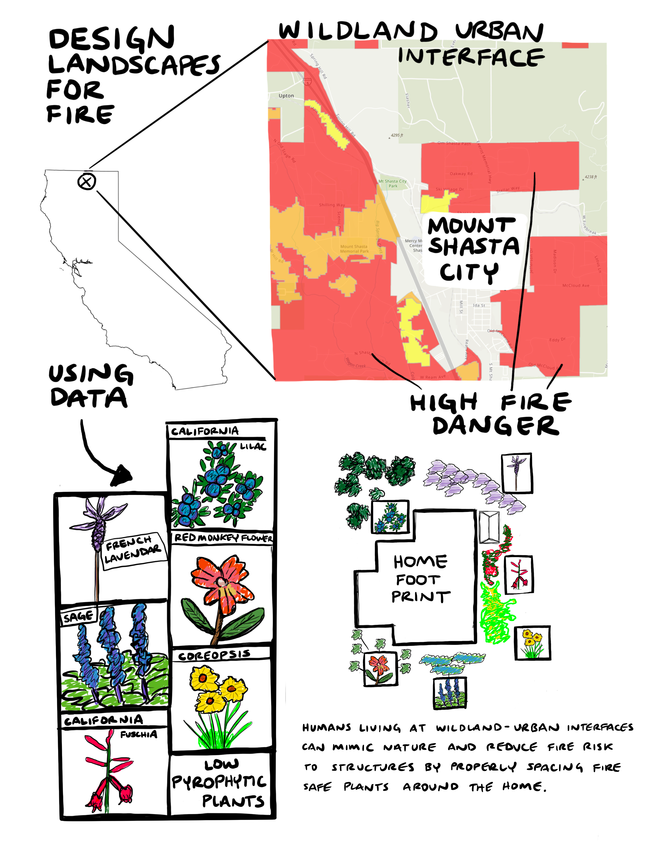Fire Zine: Ecosystems and Human Scales