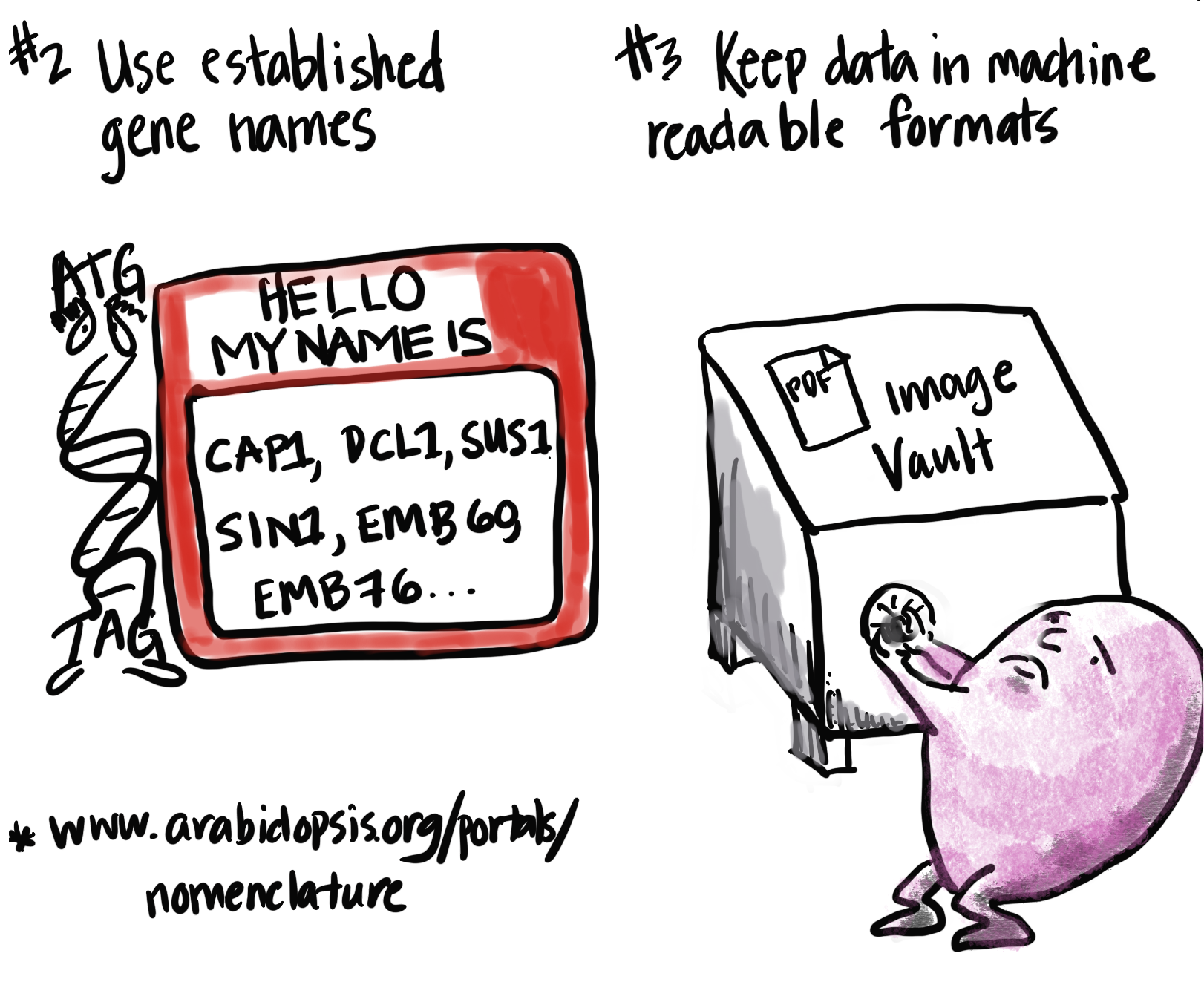 Third page of zine is titled with #2 Use established gene names. With a drawing of a name tag that says, Hello My Name is, then is proceeded with gene names. Fourth Page of Zine is titled with #3 Keep data in machine readable formats. With a sad pink cute monster trying to open a literal vault with the wording, image vault on it. 