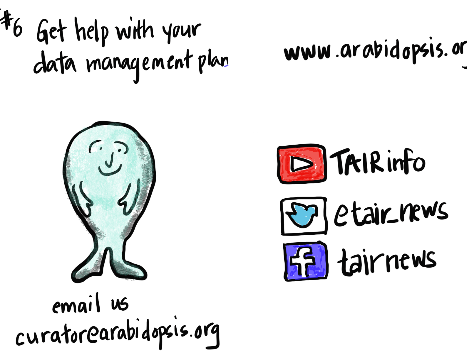 Seventh page of zine is titled with #6 Get help with your data management plan. Email curator@arabidopsis.orgEight Page of zine has the social media links including  website www.arabidopsis.org , youtube is TAIRinfo, twitter is etair_news, and facebook is tairnews.