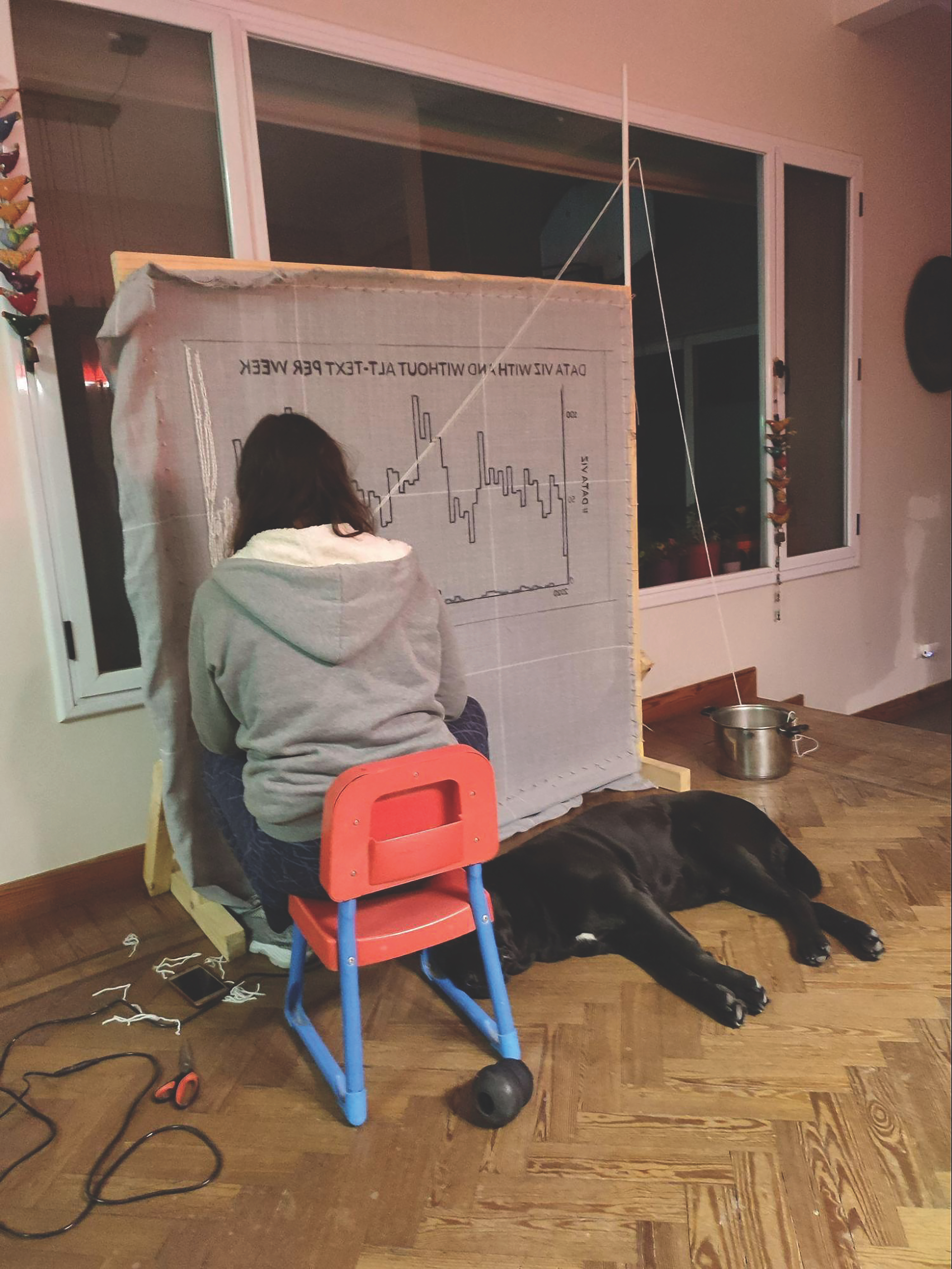 A photo of someone sitting in front of a large piece of fabric with a line chart on it. A dog is on the floor next to them.